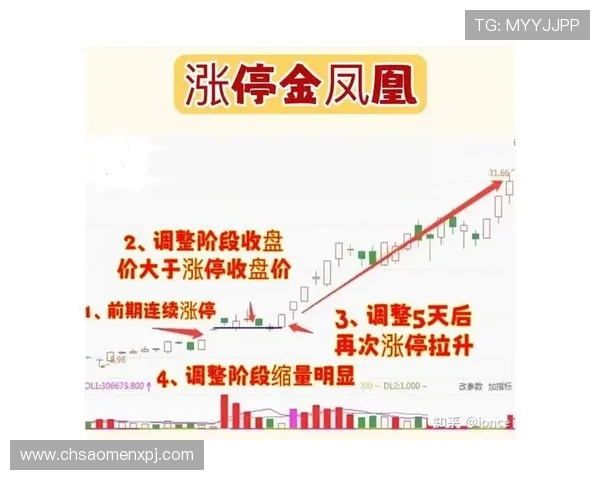 如何利用马会投注数据分析提升中奖概率实现稳健盈利的实用方法